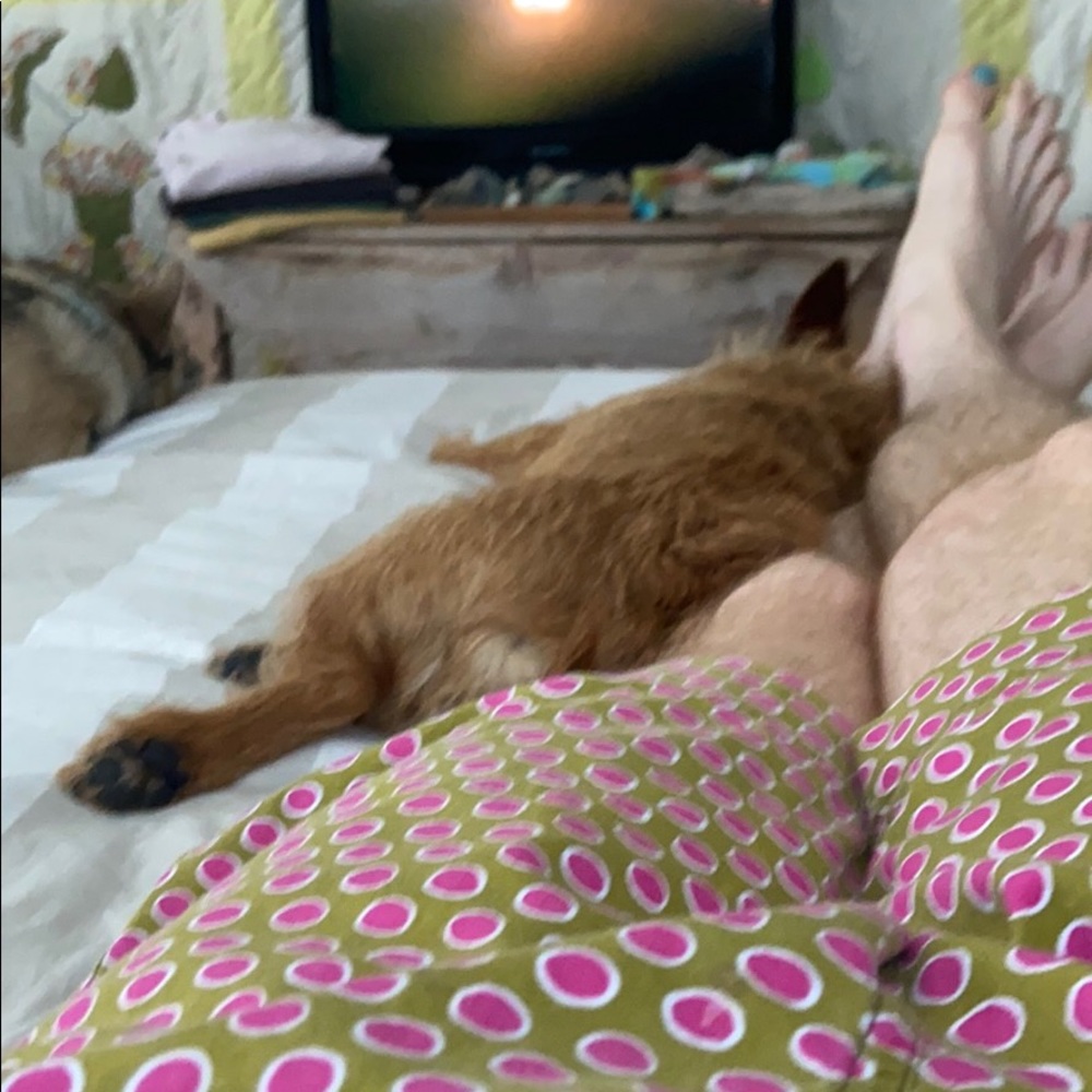 Meet your Posher, Shane